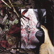 4264DARKTRANQUILITY.gif