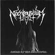 17266NACHTMYSTIUM.gif